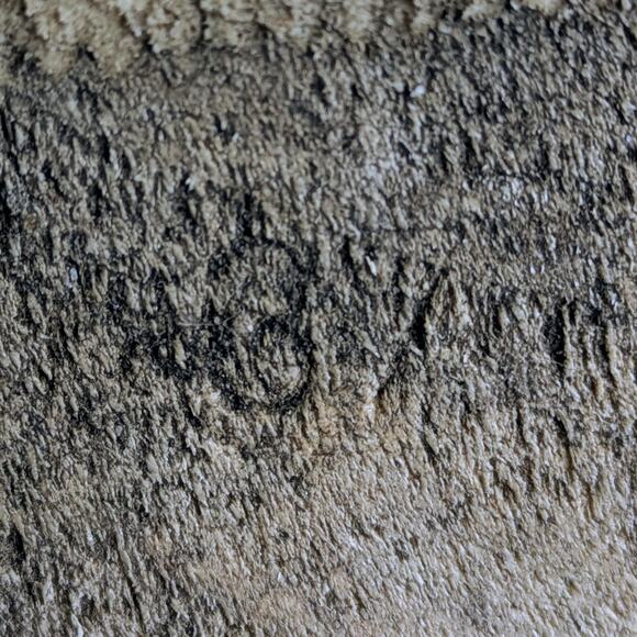 Sven Black Leather Mules with Wooden Heel - Picture 3 of 16